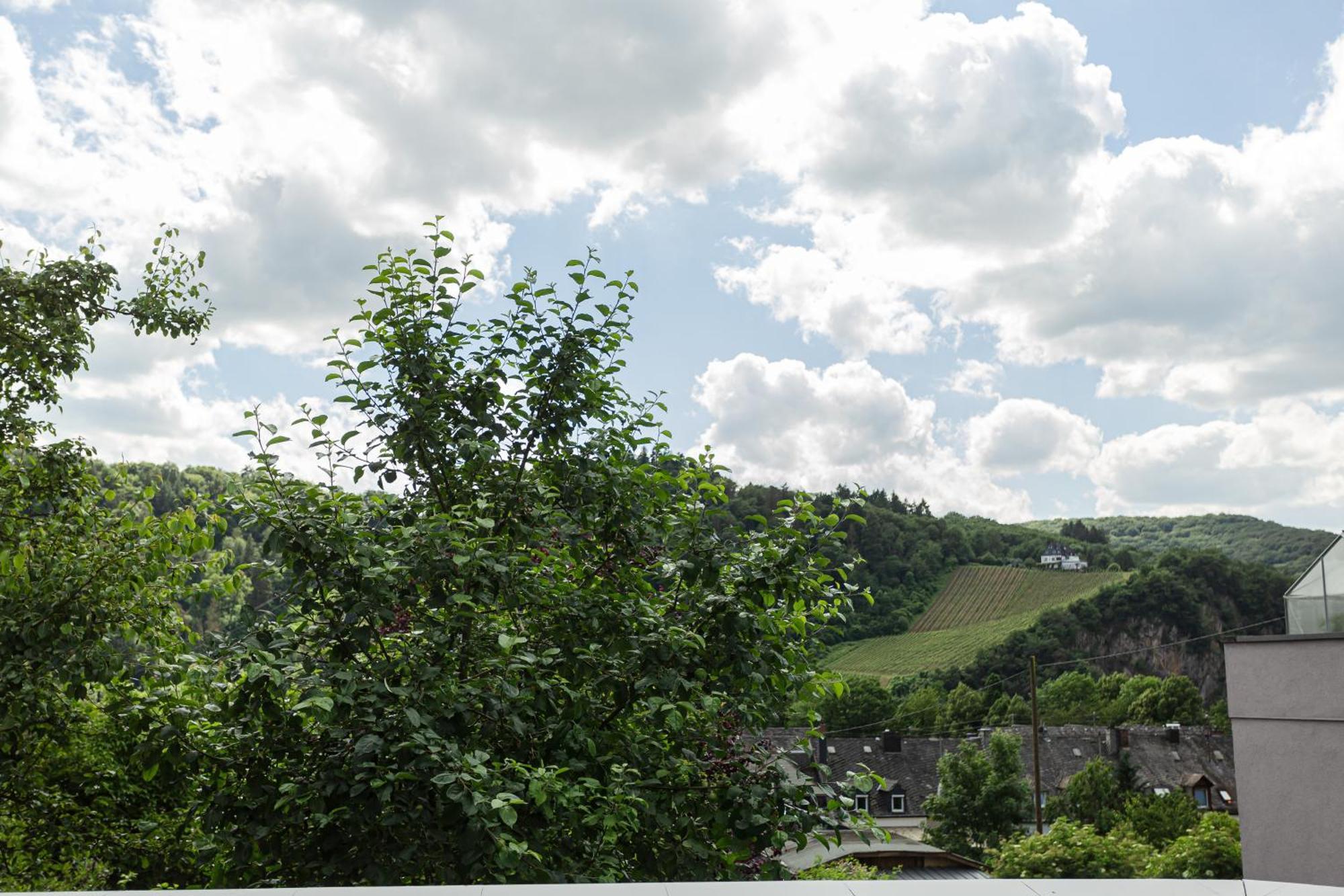 Luxusferienwohnung Moselruhe Bullay Mit Grosser Terrasse Und Schoenem Ausblick Eksteriør billede